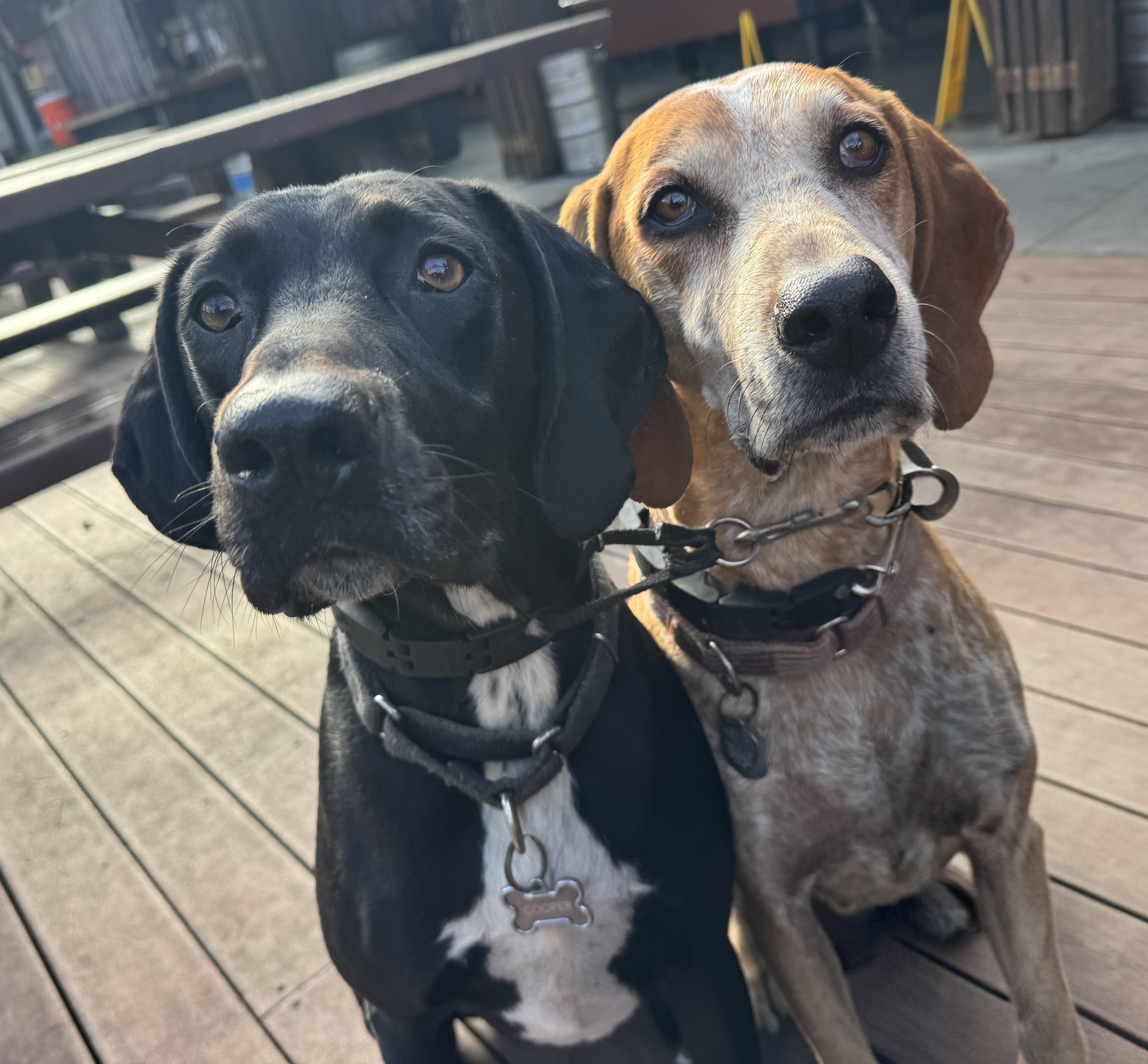 Cooper and Lido
