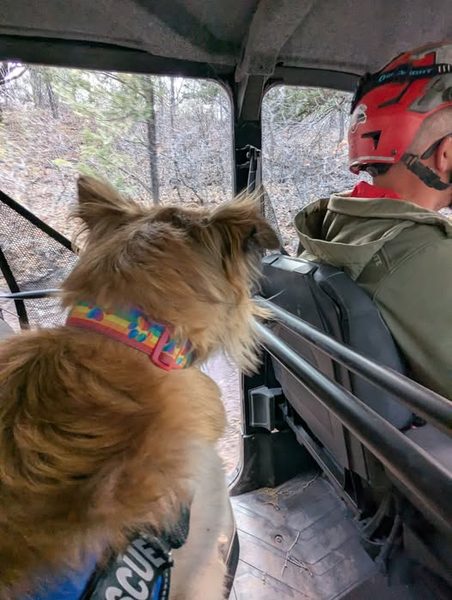 K9 team UTV transport during a field deployment